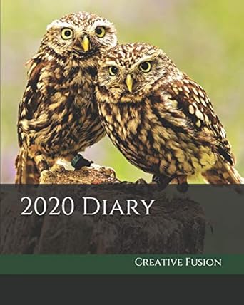 2020 diary weekly planner and monthly calendar desk diary journal owls little owl england english wildlife
