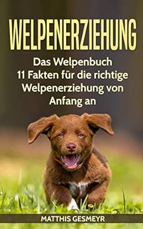 welpenerziehung das welpenbuch 11 fakten fur die richtige welpenerziehung von anfang an 1st edition matthis