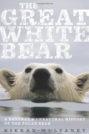 the great white bear a natural and unnatural history of the polar bear 1st edition kieran mulvaney