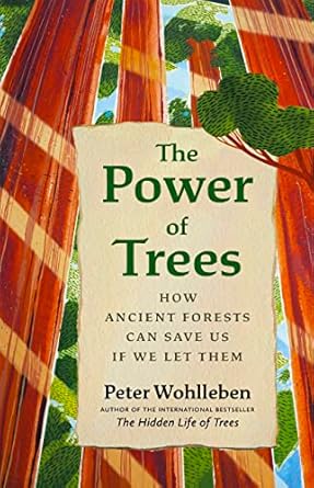 the power of trees how ancient forests can save us if we let them 1st edition peter wohlleben ,jane