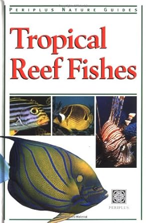 tropical reef fishes of indonesia 1st edition gerald r allen ,roger steene ,rudie kuiter ,mark strickland