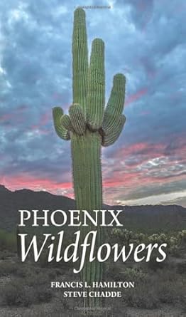 phoenix wildflowers a field guide to the common shrubs herbs cacti and ferns of the phoenix region 1st
