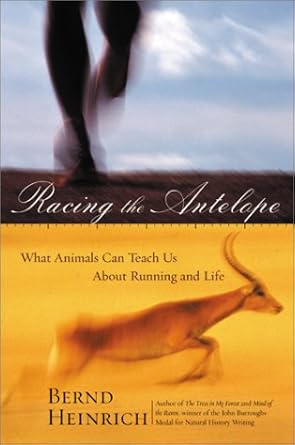 racing the antelope what animals can teach us about running and life 1st edition bernd heinrich 0060199210,