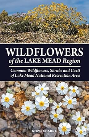 wildflowers of the lake mead region 1st edition steve w chadde 195168267x, 978-1951682675