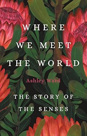 where we meet the world the story of the senses 1st edition ashley ward 1541600851, 978-1541600850