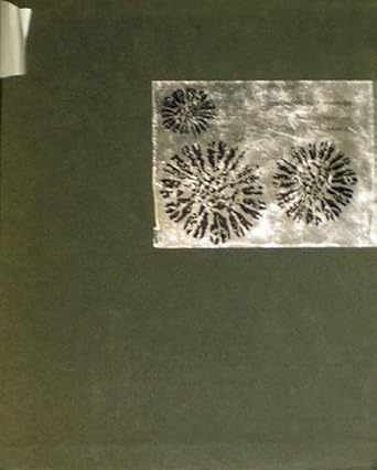 cenozoic reef biofacies tertiary larger foraminifera and scleractinian corals from chiaoas mexico 1st edition