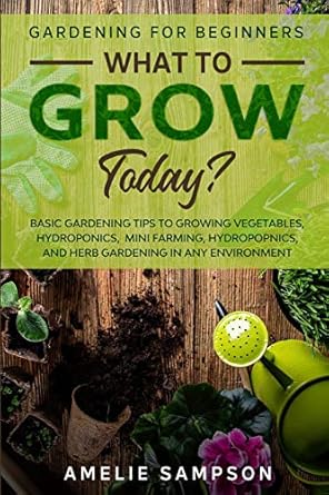 gardening for beginners what to grow today basic gardening tips to growing vegetables hydroponics mini