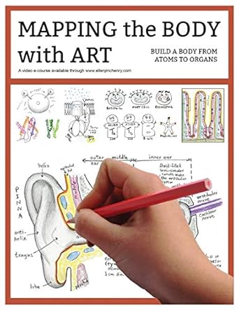 mapping the body with art workbook 1st edition ellen j mchenry 0578503344, 978-0578503349