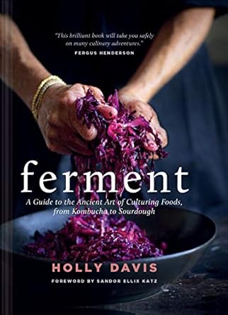 ferment a guide to the ancient art of culturing foods from kombucha to sourdough 1st edition holly davis