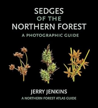 sedges of the northern forest a photographic guide 1st edition jerry jenkins 1501727087, 978-1501727085