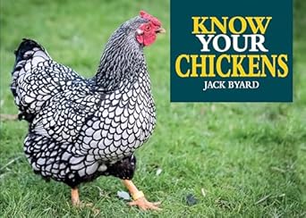 know your chickens 44 hen breeds from ancona to wyandotte with essential facts on history country of origin