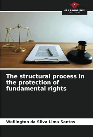 the structural process in the protection of fundamental rights 1st edition wellington da silva lima santos