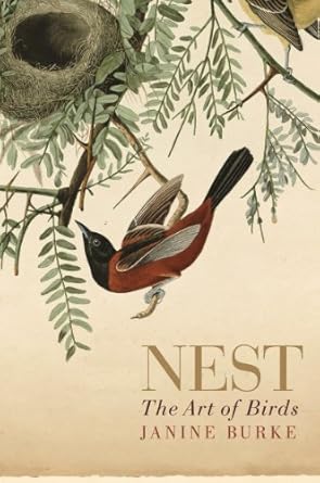nest the art of birds 1st edition janine burke 1742378293, 978-1742378299