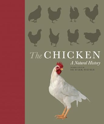 the chicken a natural history 1st edition andy cawthray ,joseph barber ,catrin rutland ,janet daly ,mark