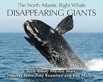 the north atlantic right whale disappearing giants 1st edition dr scott kraus ,kenneth mallory ,marilyn marx