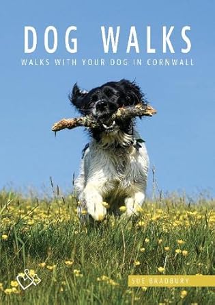 dog walks in cornwall 1st edition sue bradbury ,tor mark 0850254906, 978-0850254907
