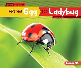 from egg to ladybug 1st edition lisa owings 1512412988, 978-1512412987