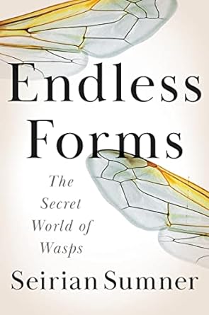 endless forms the secret world of wasps 1st edition seirian sumner 0063029928, 978-0063029927