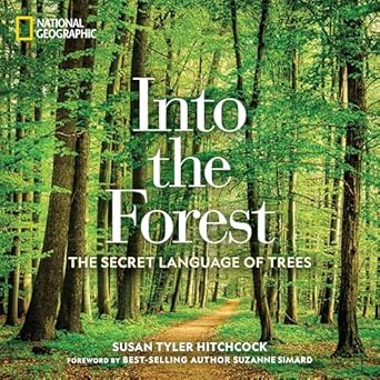 into the forest the secret language of trees 1st edition susan tyler hitchcock 1426218907, 978-1426218903