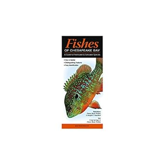 fishes of chesapeake bay a guide to freshwater and saltwater species 1st edition craig springer diane rome
