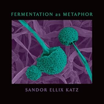 fermentation as metaphor from the author of the bestselling the art of fermentation 1st edition sandor ellix