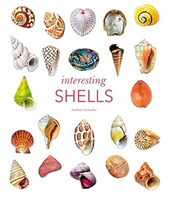 interesting shells 1st edition andreia salvador 0565095102, 978-0565095109