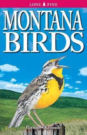 montana birds 1st edition caleb putnam ,gregory kennedy 1551054639, 978-1551054636