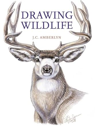 drawing wildlife 1st edition j c amberlyn 0823023796, 978-0823023790