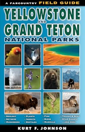 a field guide to yellowstone and grand teton national parks 1st edition kurt f johnson 1560375558,