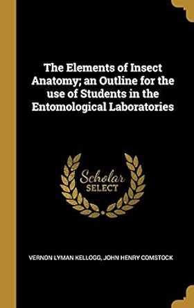 the elements of insect anatomy an outline for the use of students in the entomological laboratories 1st