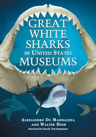 great white sharks in united states museums 1st edition alessandro de maddalena ,walter heim 0786441836,