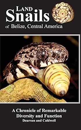 land snails of belize central america a remarkable chronicle of diversity and function 1st edition daniel c