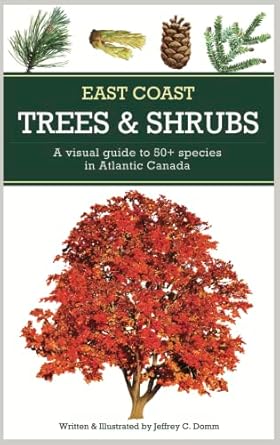 east coast trees and shrubs a visual guide to 50+ species in atlantic canada 1st edition jeffrey c domm