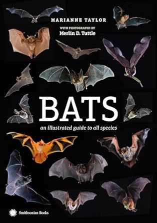 bats an illustrated guide to all species 1st edition marianne taylor ,merlin tuttle 1588346471, 978-1588346476