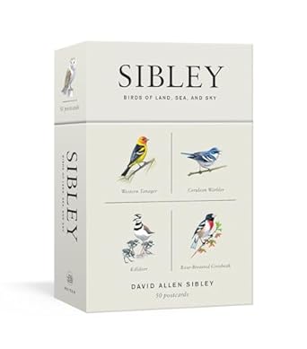 sibley birds of land sea and sky 50 postcards 1st edition david allen sibley 1524761826, 978-1524761820