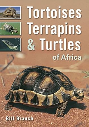 tortoises terrapins and turtles of africa 1st edition bill branch 1770074635, 978-1770074637