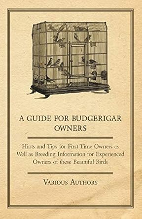 a guide for budgerigar owners hints and tips for first time owners as well as breeding information for