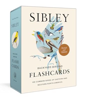 sibley backyard birding flashcards revised and updated 100 common birds of eastern and western north america