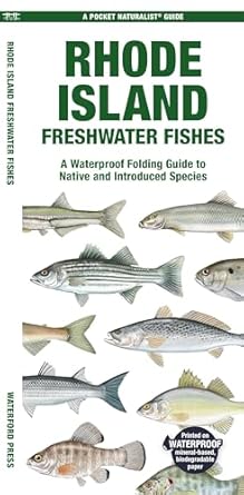 rhode island freshwater fishes a folding guide to native and introduced species 1st edition matthew morris