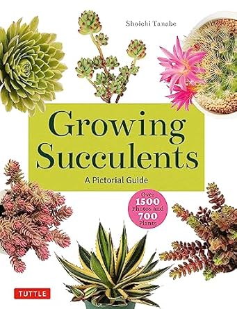 growing succulents a pictorial guide 1st edition shoichi tanabe 0804855536, 978-0804855532