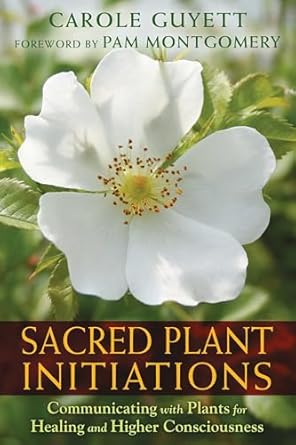 sacred plant initiations communicating with plants for healing and higher consciousness 1st edition carole