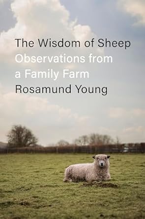 the wisdom of sheep observations from a family farm 1st edition rosamund young 0593656172, 978-0593656174