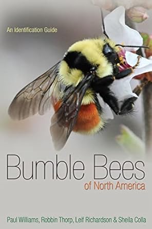 bumble bees of north america an identification guide 1st edition paul h williams ,robbin w thorp ,leif l