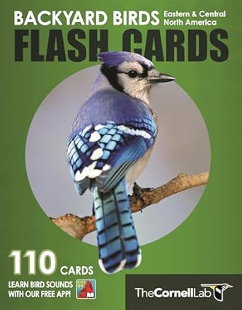 backyard birds flash cards eastern and central north america 1st edition cornell lab of ornithology