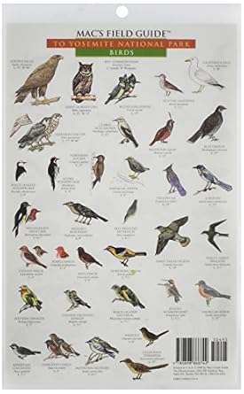 macs field guide to yosemite national park birds and mammals 1st edition craig macgowan 089886674x,