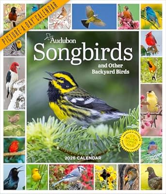 audubon songbirds and other backyard birds picture a day wall calendar 2026 1st edition workman calendars