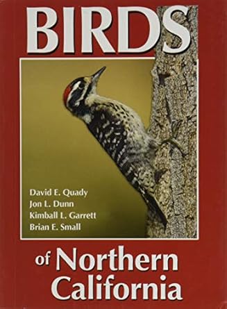 birds of northern california 1st edition david e quady ,jon l dunn ,kimball l garrett ,brian e small ,david