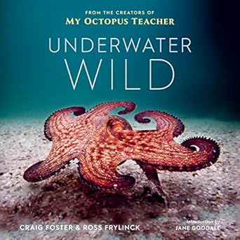 underwater wild my octopus teachers extraordinary world 1st edition craig foster ,ross frylinck 0358664756,