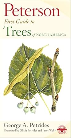 peterson first guide to trees 1st edition george a petrides 0395911834, 978-0395911839