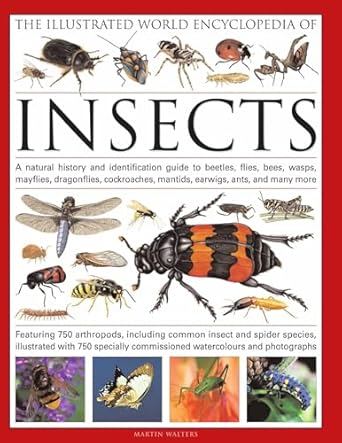 the illustrated world encyclopedia of insects a natural history and identification guide to beetles flies